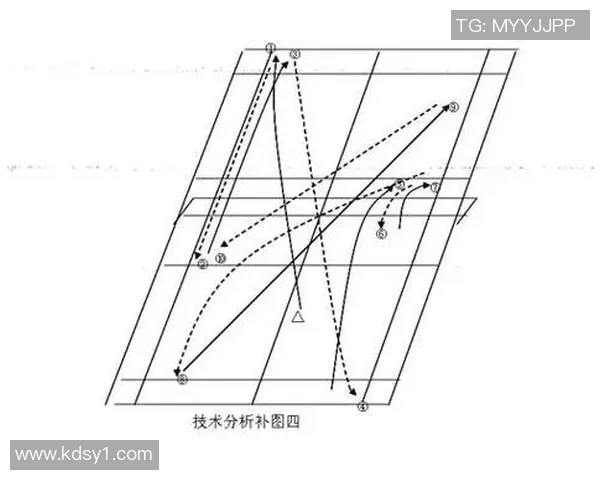 深圳羽毛球队意识对比深度解析与战术发展探讨