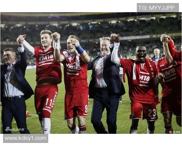 爱尔兰与丹麦足球队激战正酣谁能在这场对决中笑到最后